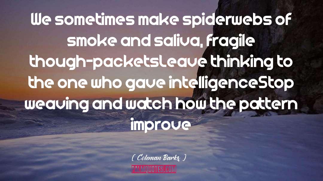 Coleman Barks Quotes: We sometimes make spiderwebs of