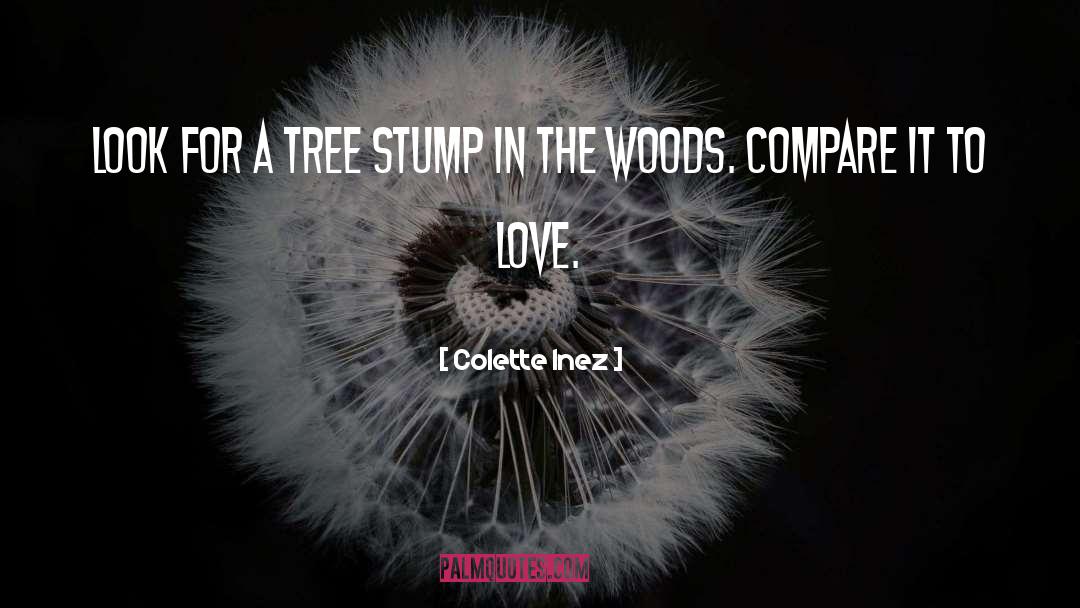 Colette Inez Quotes: Look for a tree stump