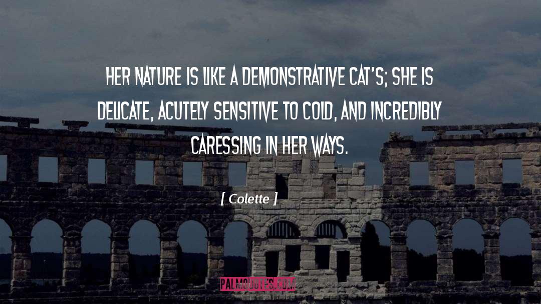 Colette Quotes: Her nature is like a