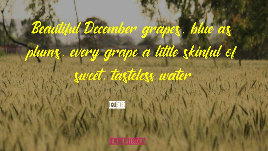 Colette Quotes: Beautiful December grapes, blue as
