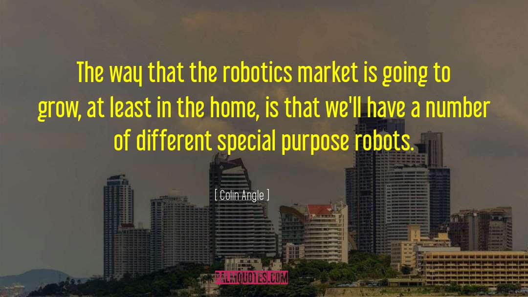 Colin Angle Quotes: The way that the robotics