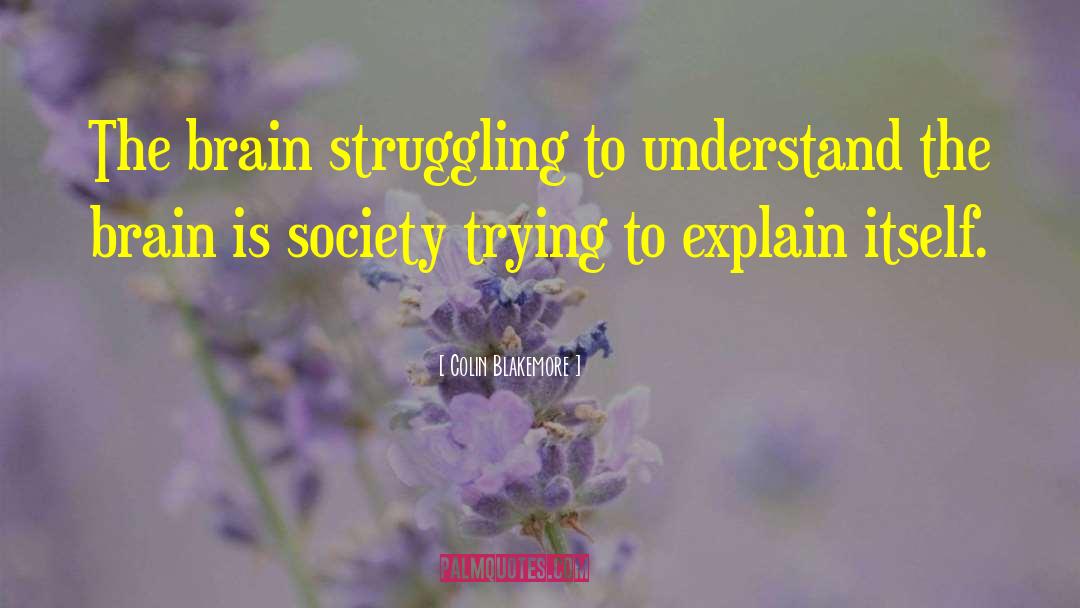 Colin Blakemore Quotes: The brain struggling to understand