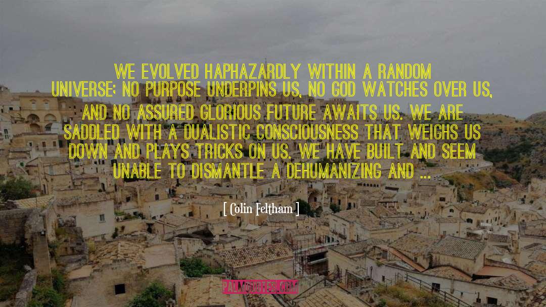 Colin Feltham Quotes: We evolved haphazardly within a