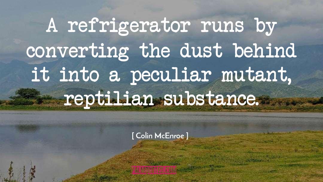 Colin McEnroe Quotes: A refrigerator runs by converting
