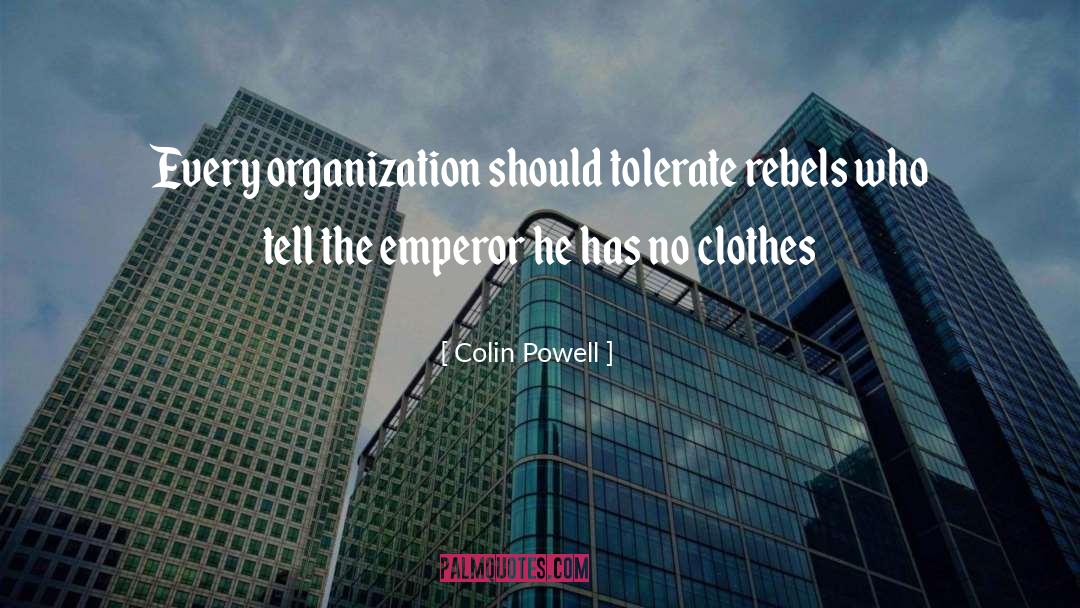 Colin Powell Quotes: Every organization should tolerate rebels