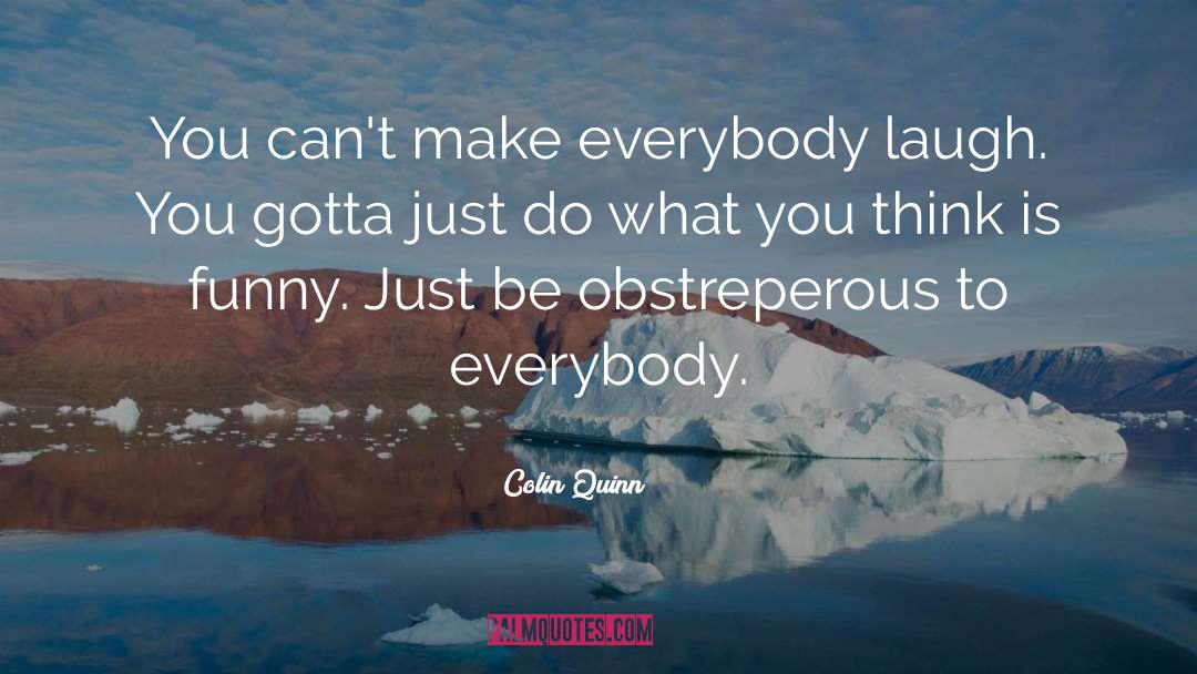 Colin Quinn Quotes: You can't make everybody laugh.