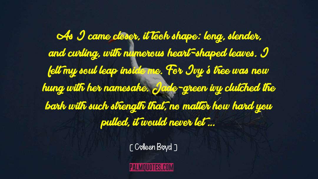 Colleen Boyd Quotes: As I came closer, it