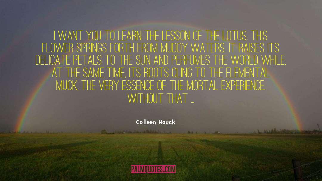 Colleen Houck Quotes: I want you to learn