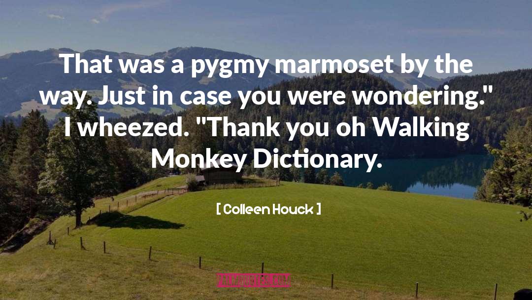 Colleen Houck Quotes: That was a pygmy marmoset