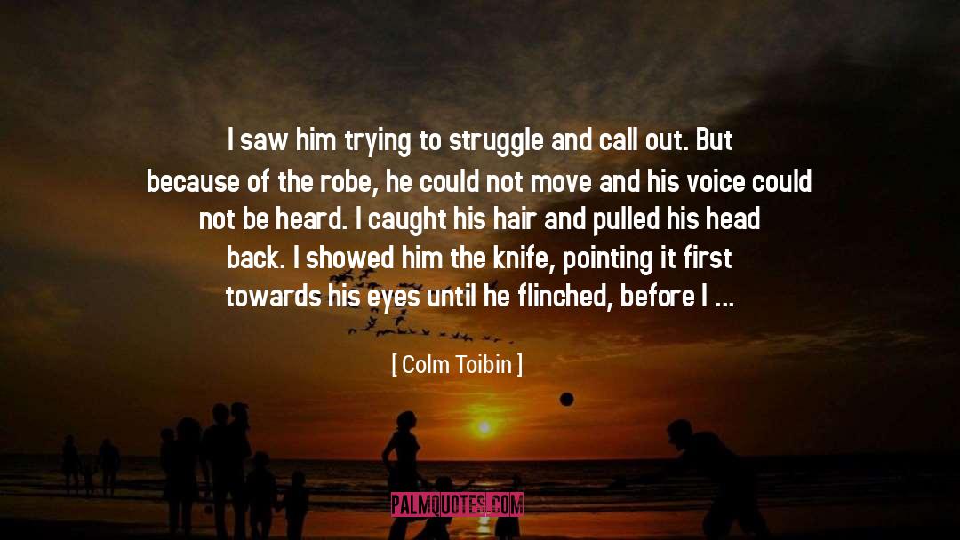 Colm Toibin Quotes: I saw him trying to