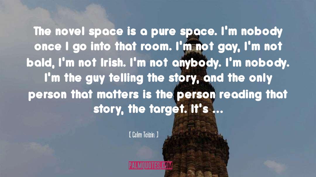 Colm Toibin Quotes: The novel space is a