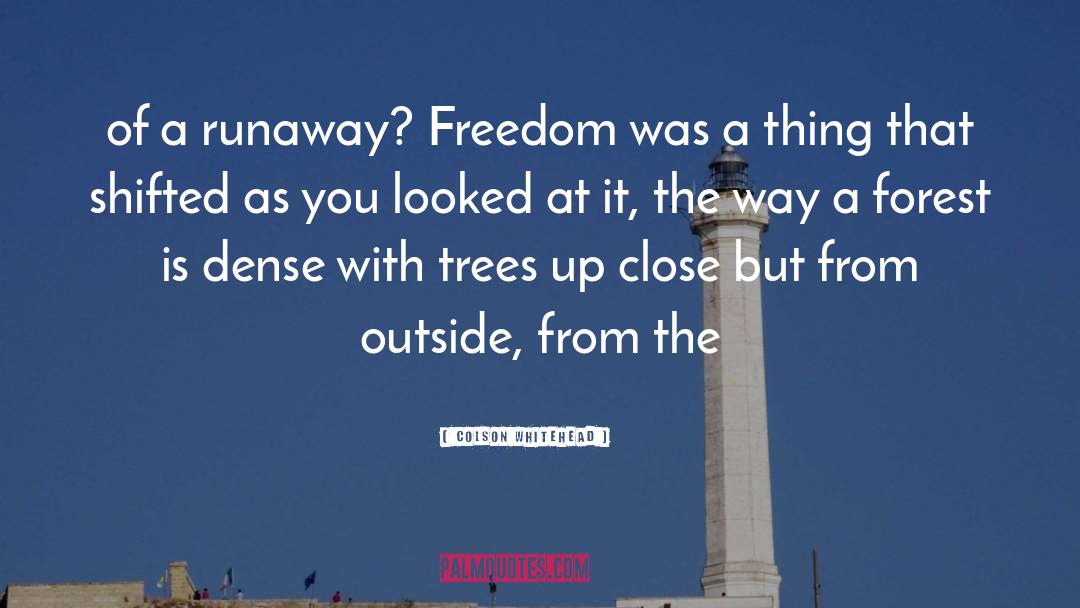 Colson Whitehead Quotes: of a runaway? Freedom was