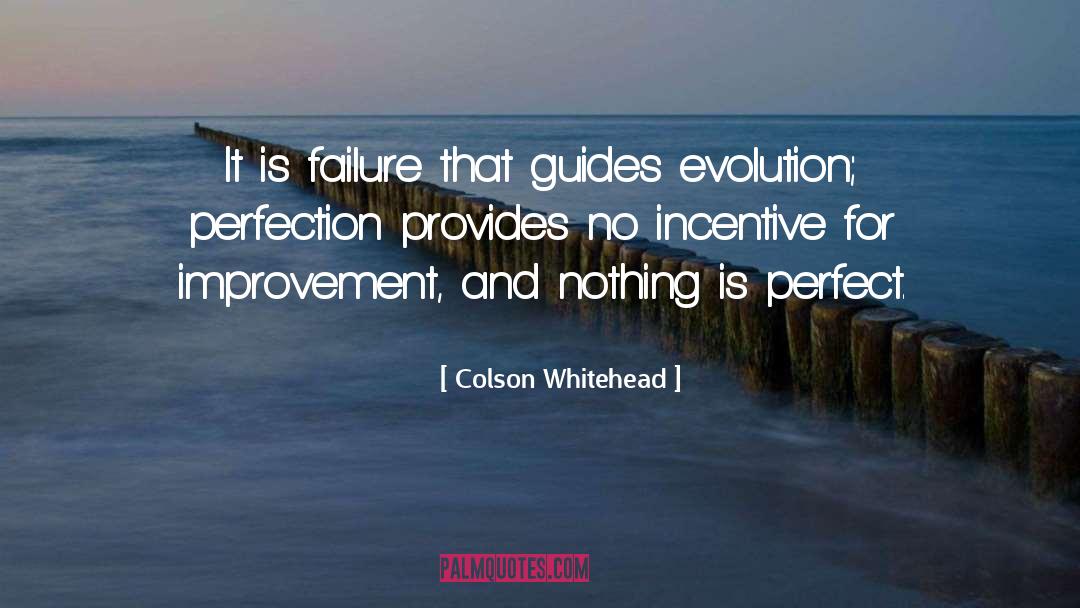 Colson Whitehead Quotes: It is failure that guides
