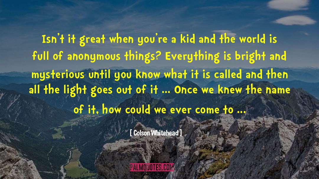 Colson Whitehead Quotes: Isn't it great when you're