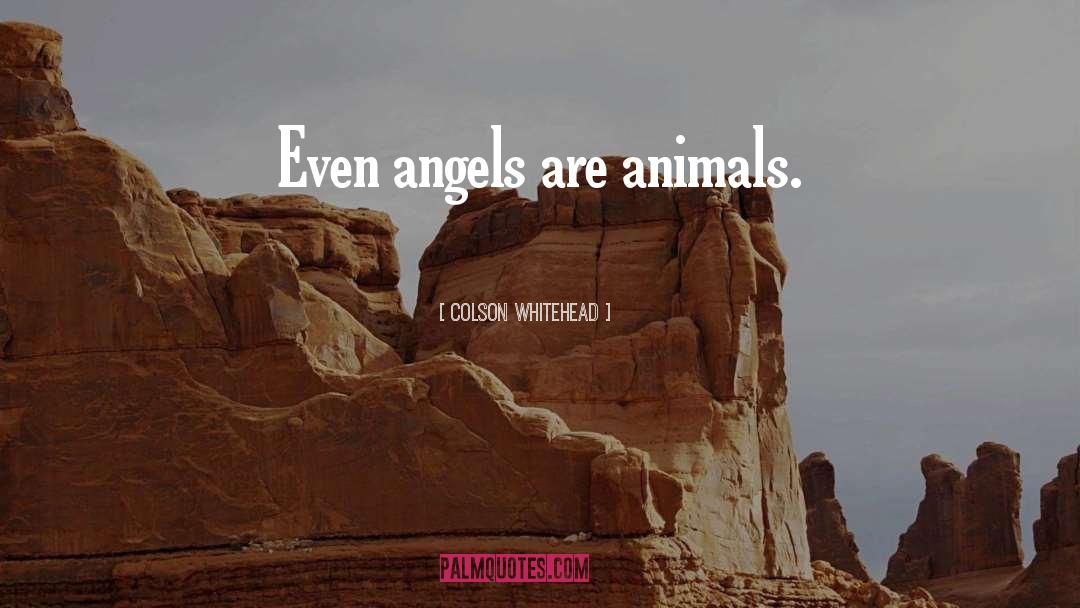 Colson Whitehead Quotes: Even angels are animals.