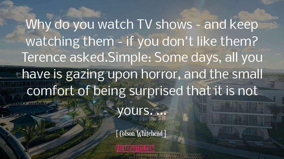 Colson Whitehead Quotes: Why do you watch TV