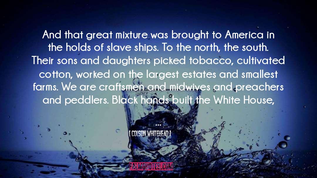 Colson Whitehead Quotes: And that great mixture was