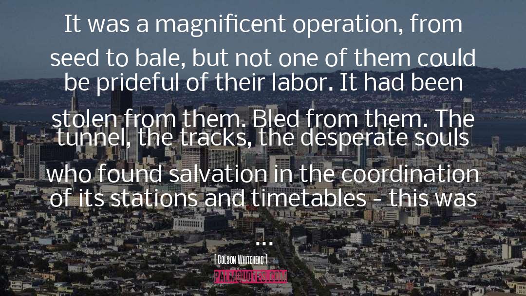 Colson Whitehead Quotes: It was a magnificent operation,