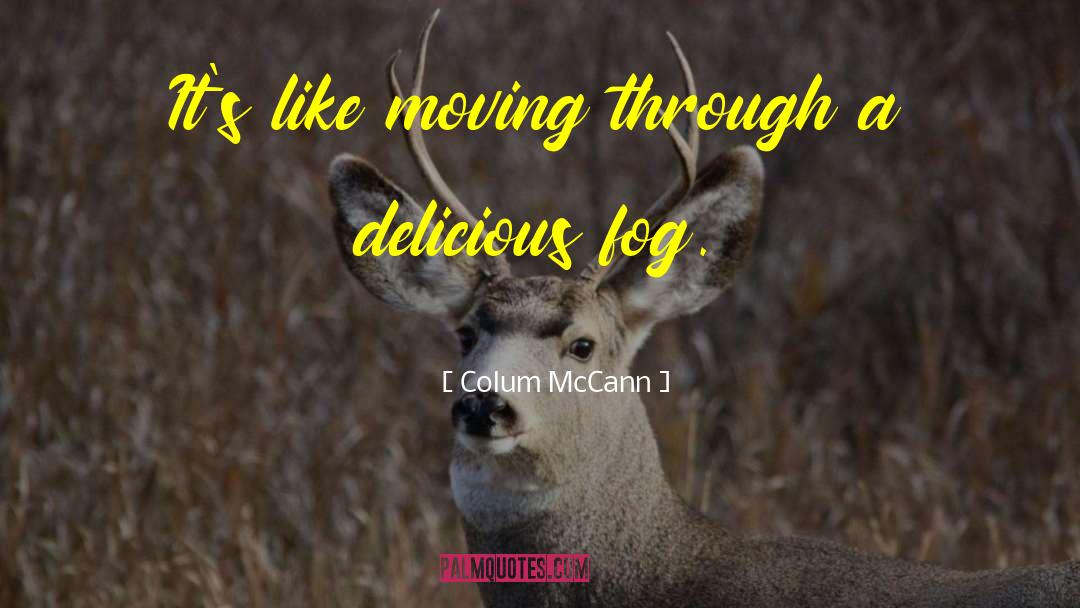 Colum McCann Quotes: It's like moving through a