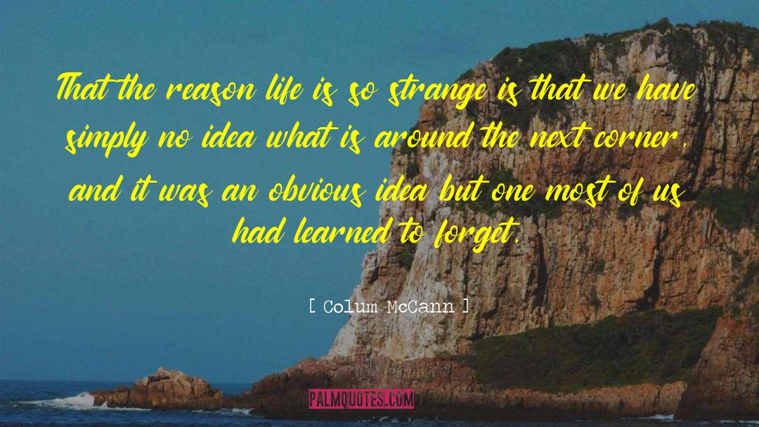 Colum McCann Quotes: That the reason life is