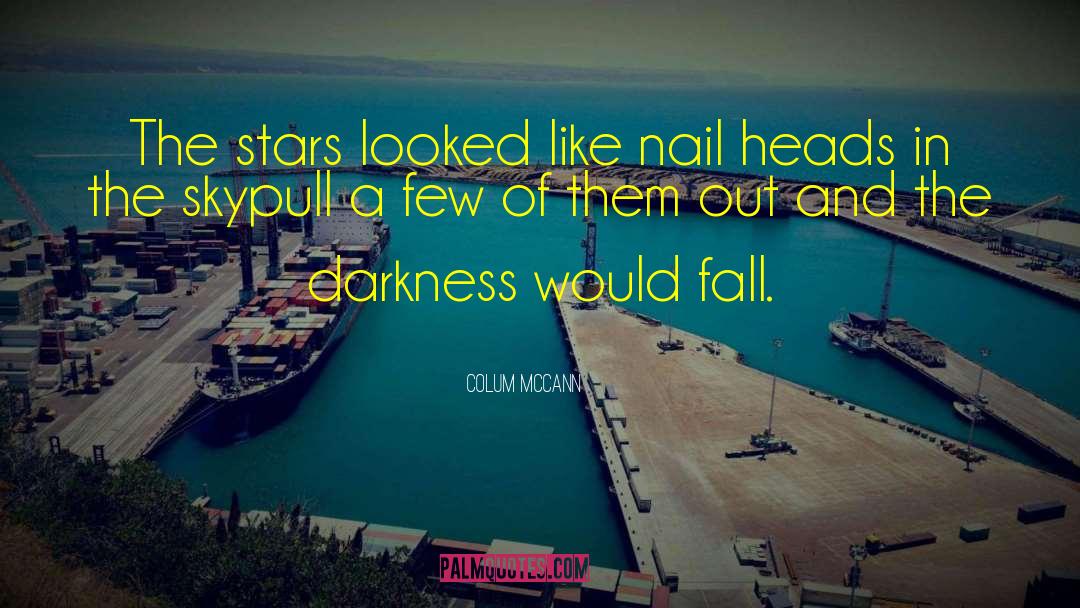 Colum McCann Quotes: The stars looked like nail