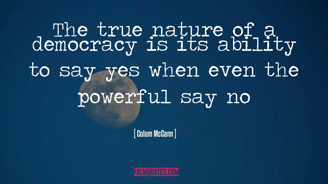 Colum McCann Quotes: The true nature of a
