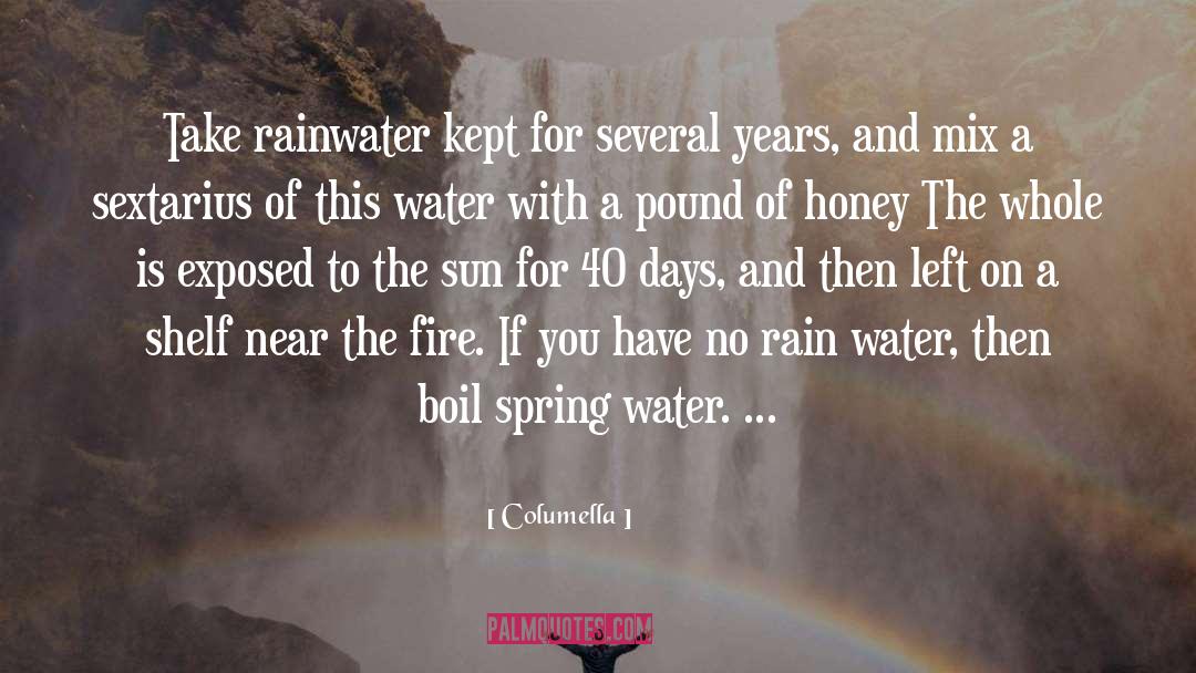 Columella Quotes: Take rainwater kept for several