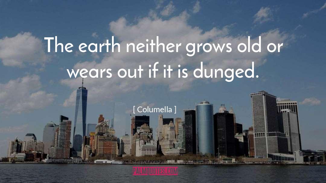 Columella Quotes: The earth neither grows old