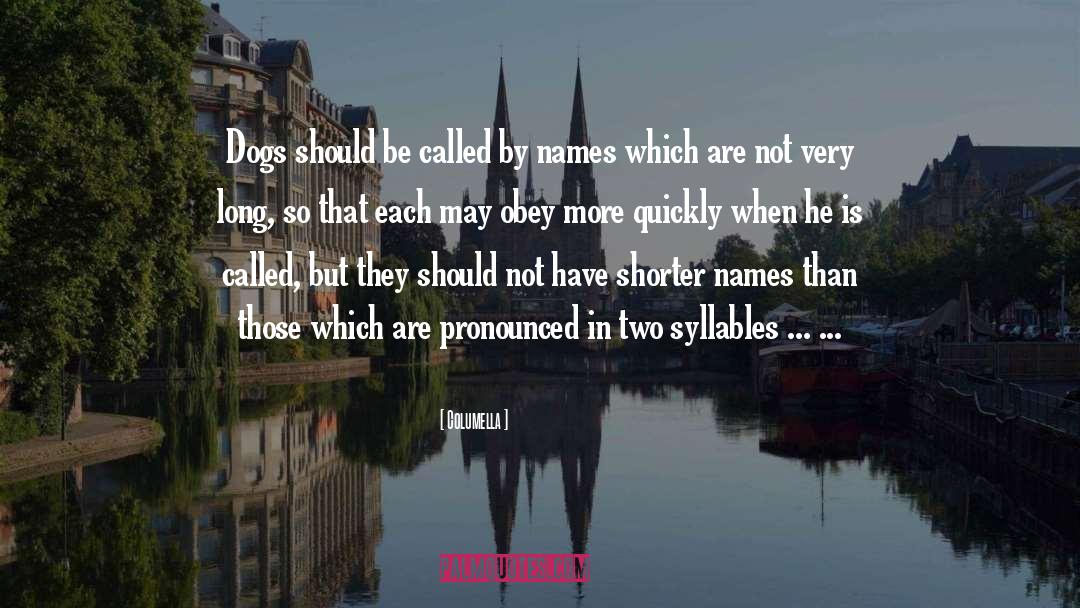 Columella Quotes: Dogs should be called by