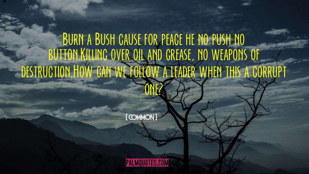 Common Quotes: Burn a Bush cause for