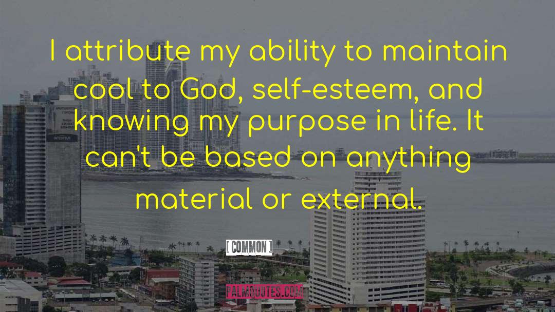Common Quotes: I attribute my ability to