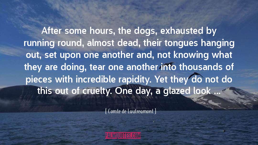 Comte De Lautreamont Quotes: After some hours, the dogs,