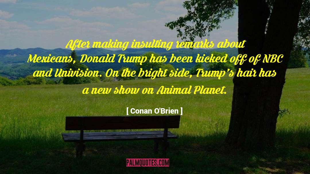 Conan O'Brien Quotes: After making insulting remarks about