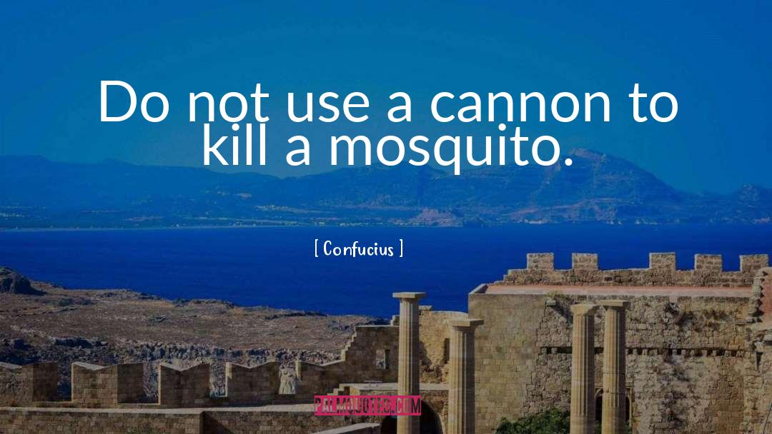 Confucius Quotes: Do not use a cannon