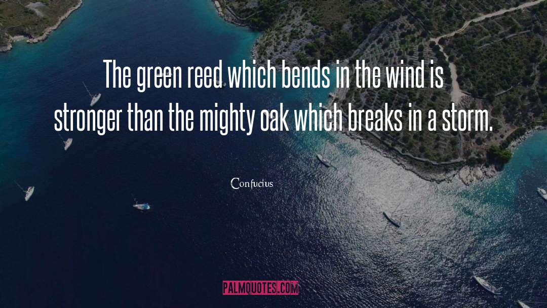 Confucius Quotes: The green reed which bends