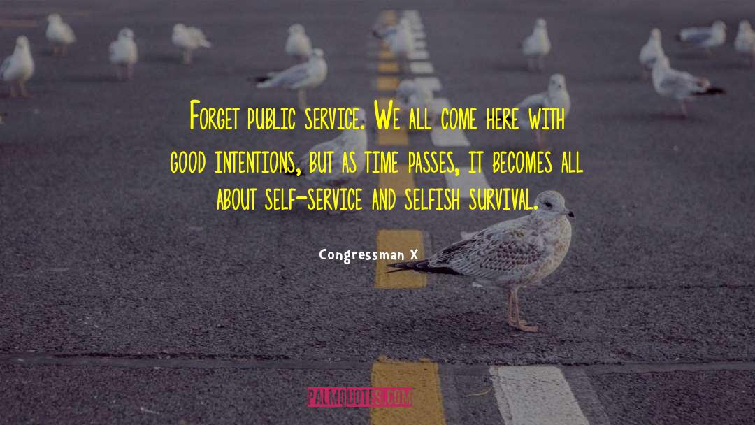 Congressman X Quotes: Forget public service. We all