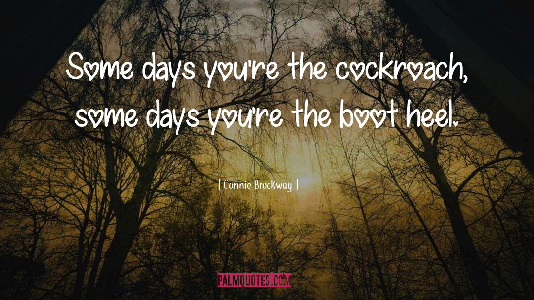 Connie Brockway Quotes: Some days you're the cockroach,