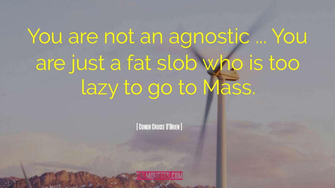 Conor Cruise O'Brien Quotes: You are not an agnostic