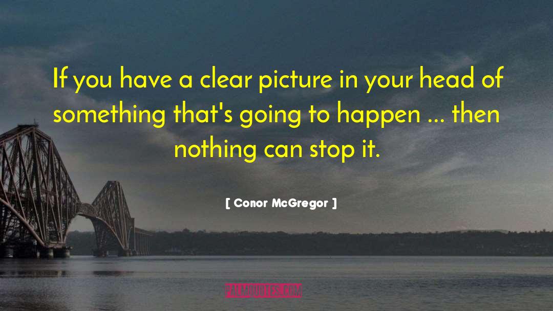 Conor McGregor Quotes: If you have a clear