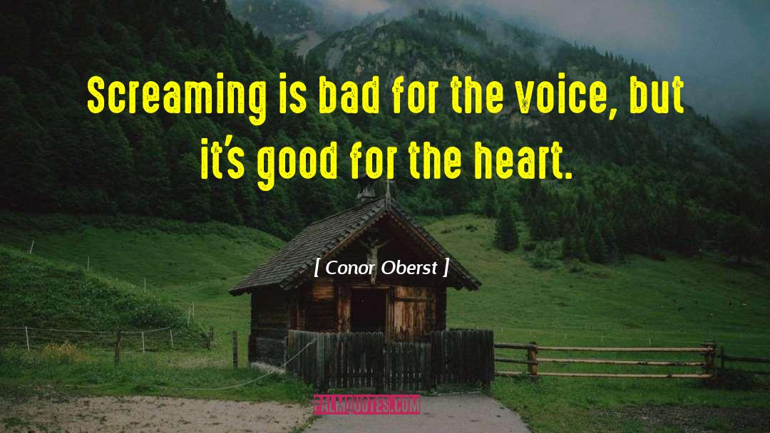 Conor Oberst Quotes: Screaming is bad for the