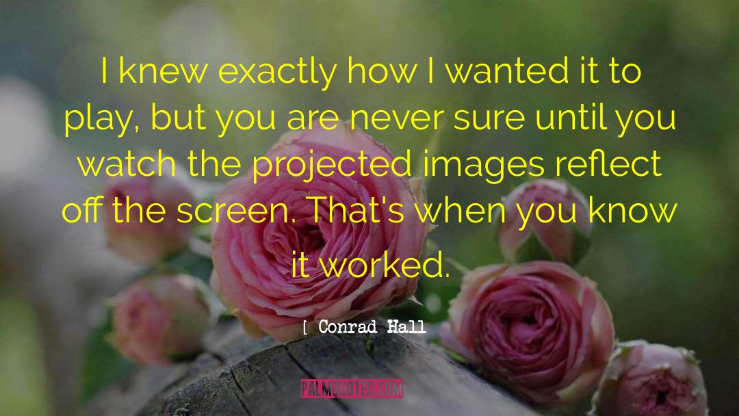 Conrad Hall Quotes: I knew exactly how I