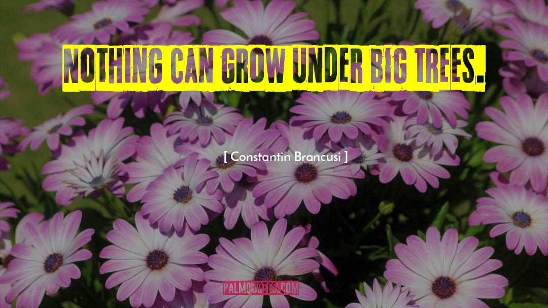 Constantin Brancusi Quotes: Nothing can grow under big