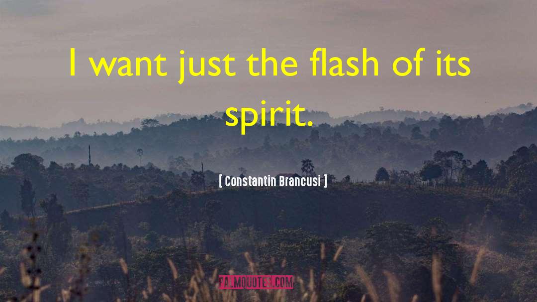Constantin Brancusi Quotes: I want just the flash