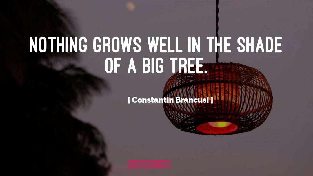 Constantin Brancusi Quotes: Nothing grows well in the