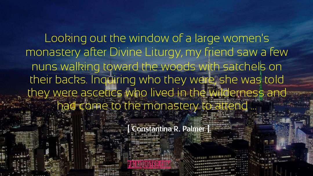 Constantina R. Palmer Quotes: Looking out the window of