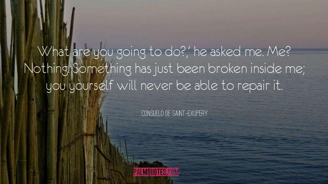 Consuelo De Saint-Exupery Quotes: What are you going to
