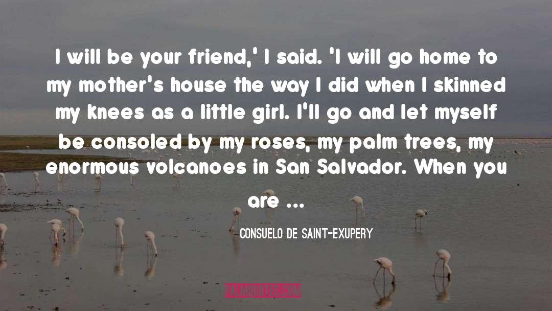 Consuelo De Saint-Exupery Quotes: I will be your friend,'