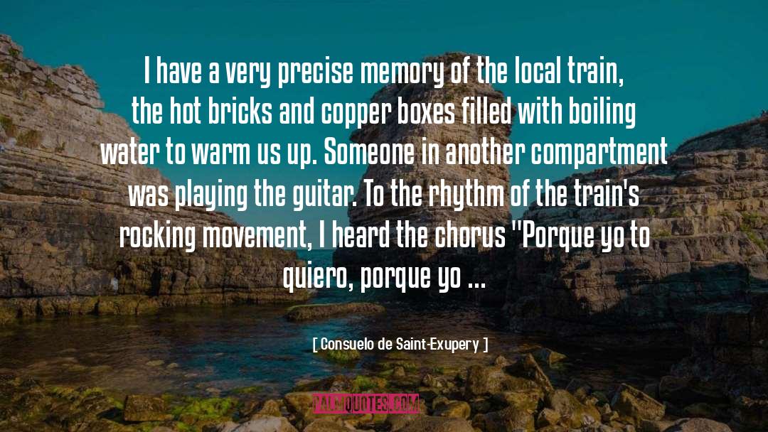 Consuelo De Saint-Exupery Quotes: I have a very precise