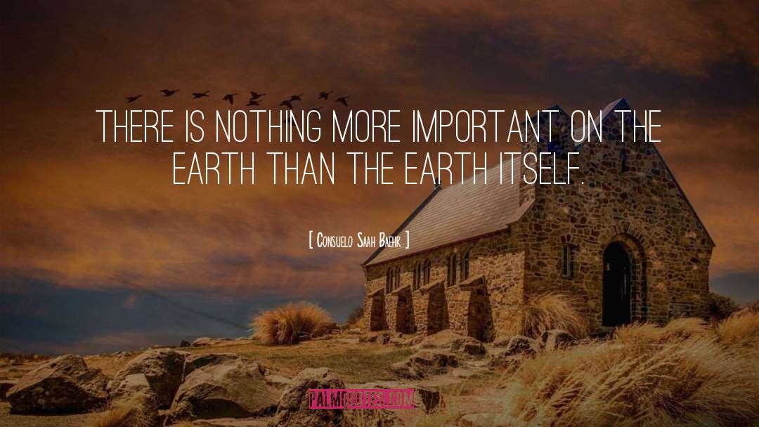 Consuelo Saah Baehr Quotes: There is nothing more important