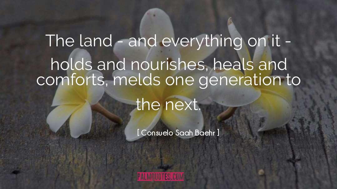 Consuelo Saah Baehr Quotes: The land - and everything